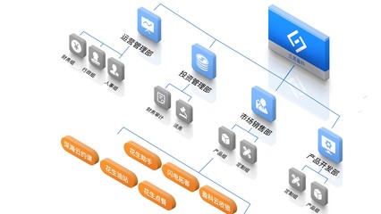 优化投资管理 构建高效公司架构的关键策略